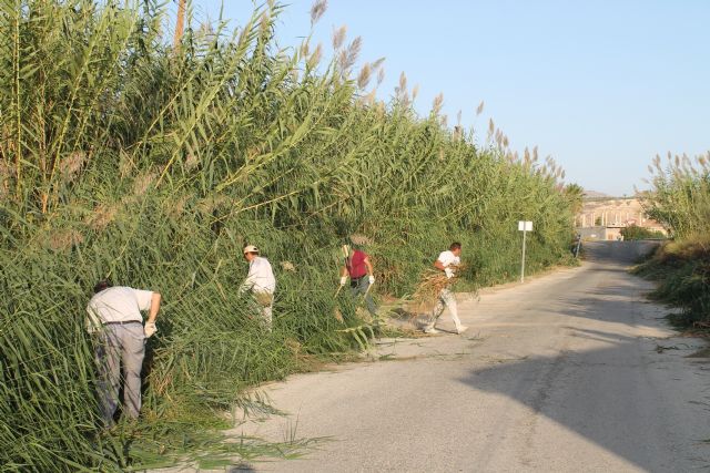 El Ayuntamiento contrata temporalmente a 27 desempleados para paliar los meses de baja laboralidad en el sector agrícola