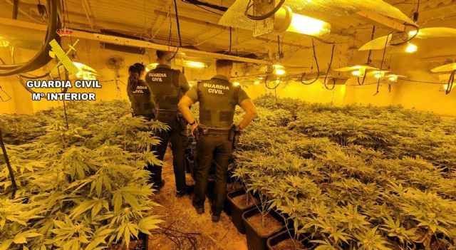 La Guardia Civil desmantelar, en Archena, un grupo delictivo que cultivaba gran cantidad de marihuana