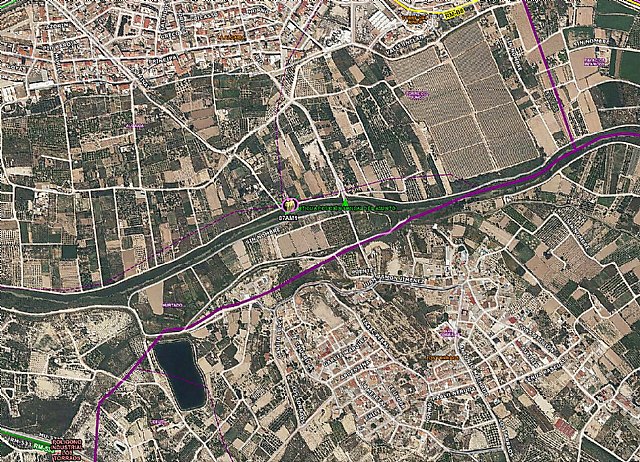 Incendio en los márgenes del río Segura, en La Algaida