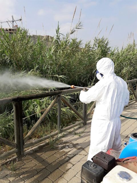 Continúa con éxito la campaña contra los mosquitos en el cauce del Segura a su paso por Archena