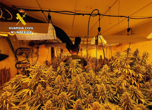 La Guardia Civil detiene a una pareja en Archena por cultivo ilícito de marihuana