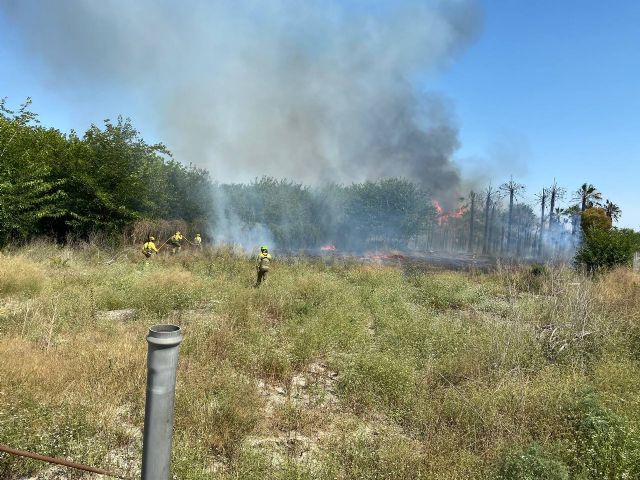 Incendio de cañas y matorral en el margen del río en la pedanía de La Algaida (Archena)