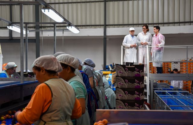 Patricia Fernández, candidata a la Alcaldía: 'Estamos muy comprometidos con el empleo'
