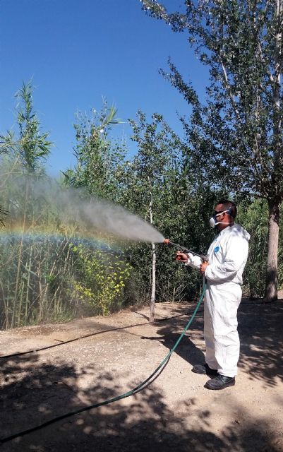 Continúan las fumigaciones en el río Segura para frenar la presencia de mosquitos