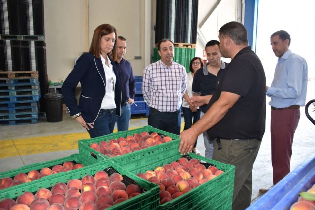 Archena reduce su tasa de paro al 12,43 % en este 2018, la mejor cifra de los últimos 11 años