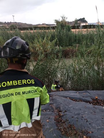 Bomberos del Consorcio de Extinción de Incendios y Salvamento de la Región de Murcia rescatan un perro en Archena